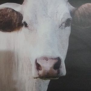 Meet your Posher, Joan